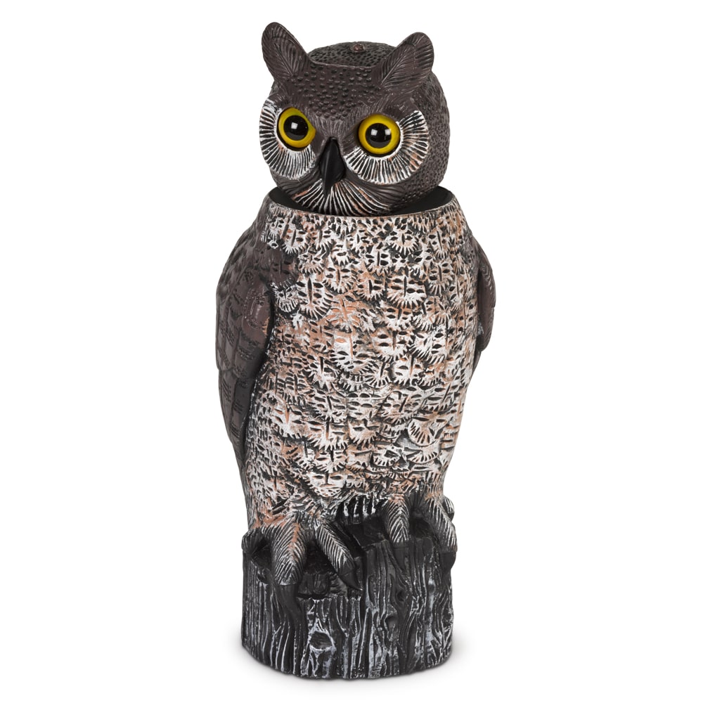 דחליל להרחקת יונים – ינשוף ראש מסתובב