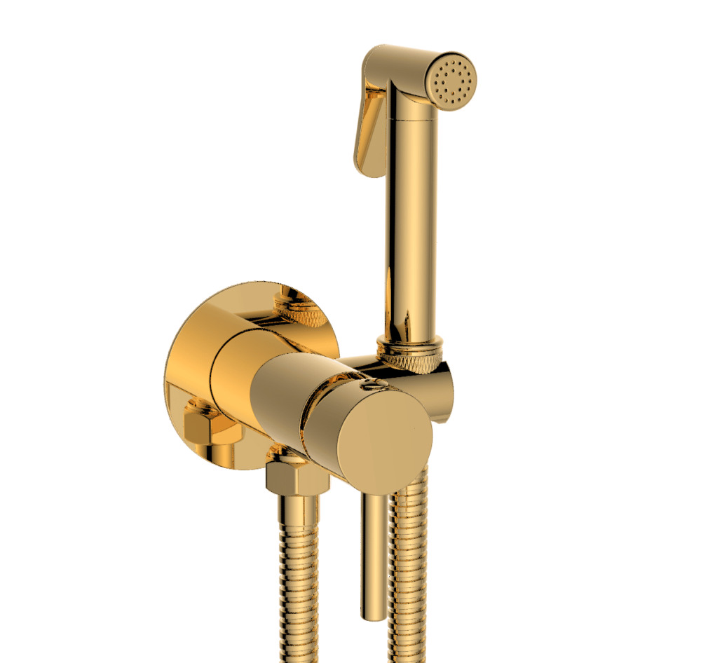 אינטרפוץ ומערכת שטיפה יוקרתית זהב שגיב