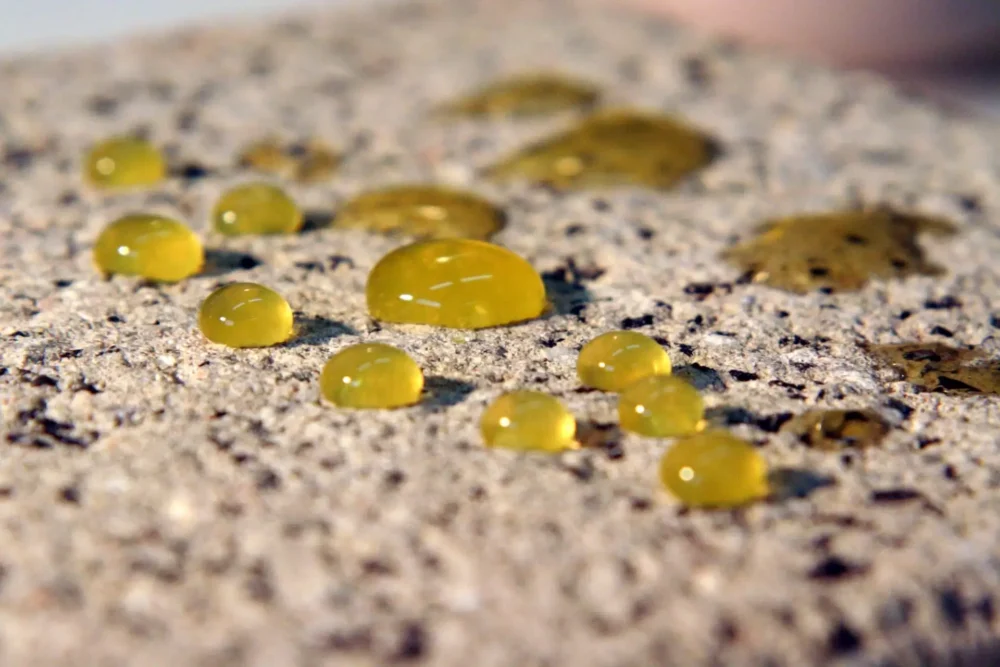 סילר ננוסיל Nano מקצועי שקוף NTSI