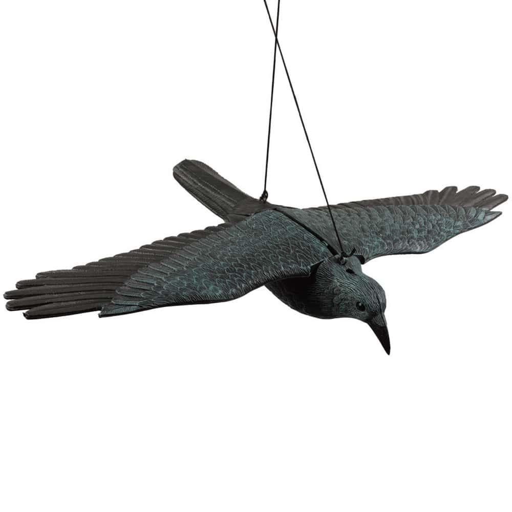 דחליל להרחקת יונים – עורב פרוש כנפיים