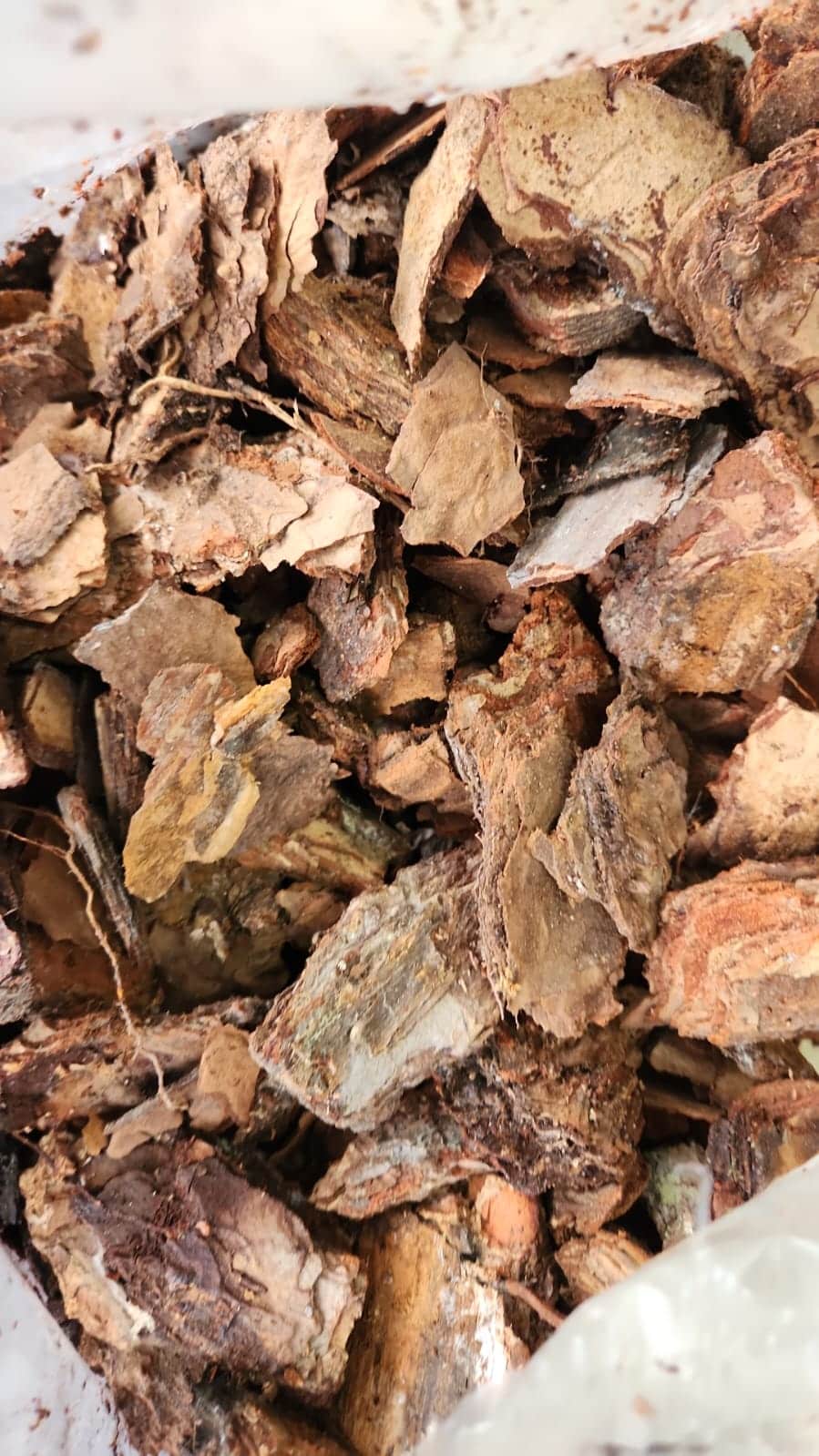 שבבי עץ לחיפוי קרקע שק 50 ליטר