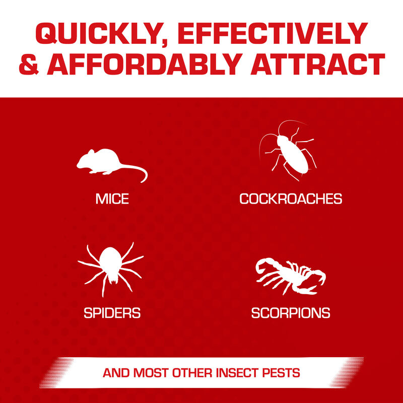 מלכודת דבק לחולדות TOMCAT