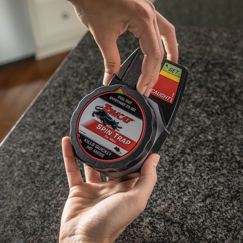 מלכודת Spin לעכברים TOMCAT