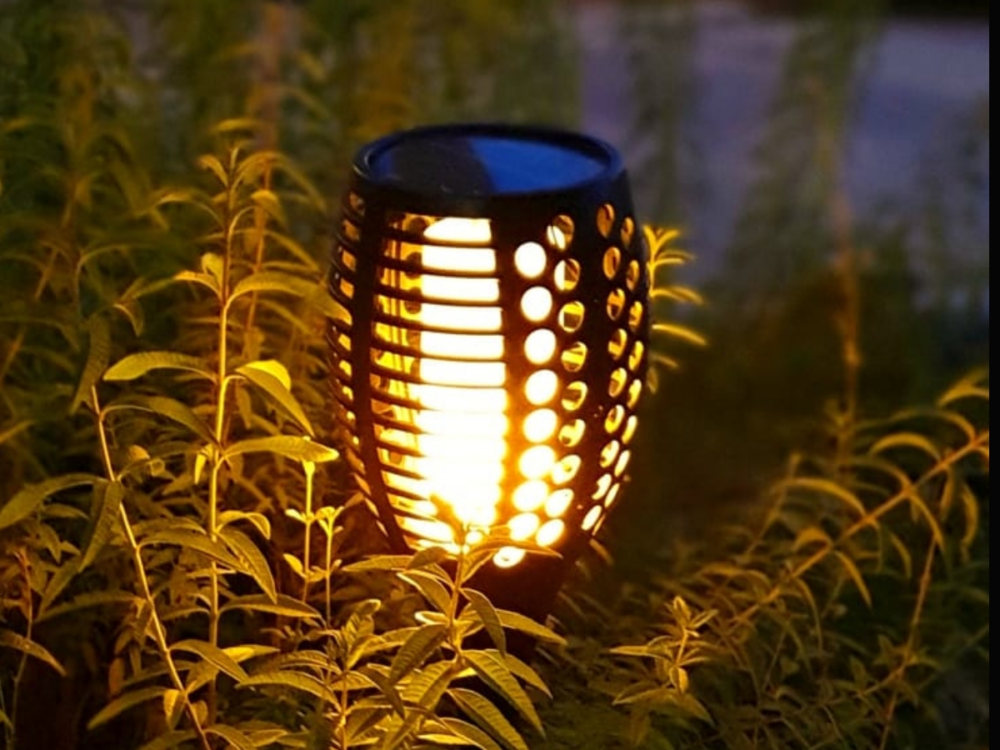 סולארי – לפיד ענק גובה 1.4 מטר